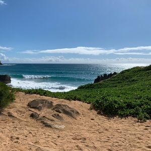 Meet your Posher, Isabelle